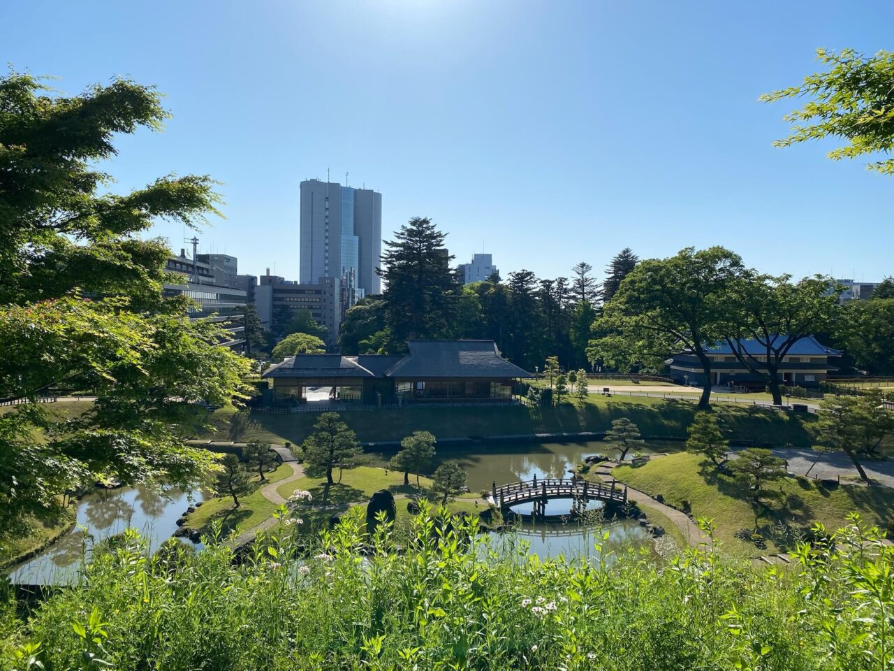 玉泉院丸庭園の風景